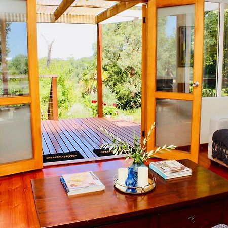 Nagoondie Studio Healesville Exterior foto