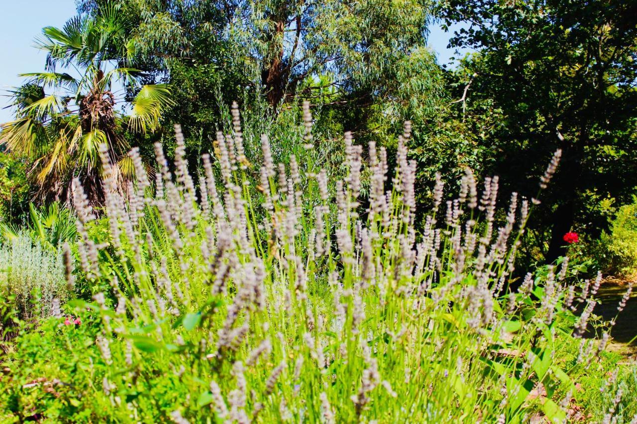 Nagoondie Studio Healesville Exterior foto